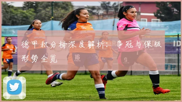 德甲积分榜深度解析：争冠与保级形势全览